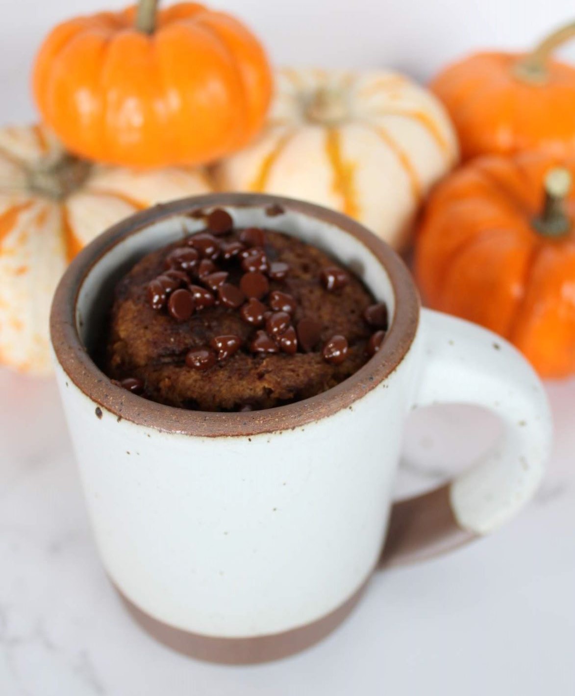 Pumpkin Chocolate Chip Mug Cake