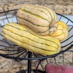 Delicata squash in a basket